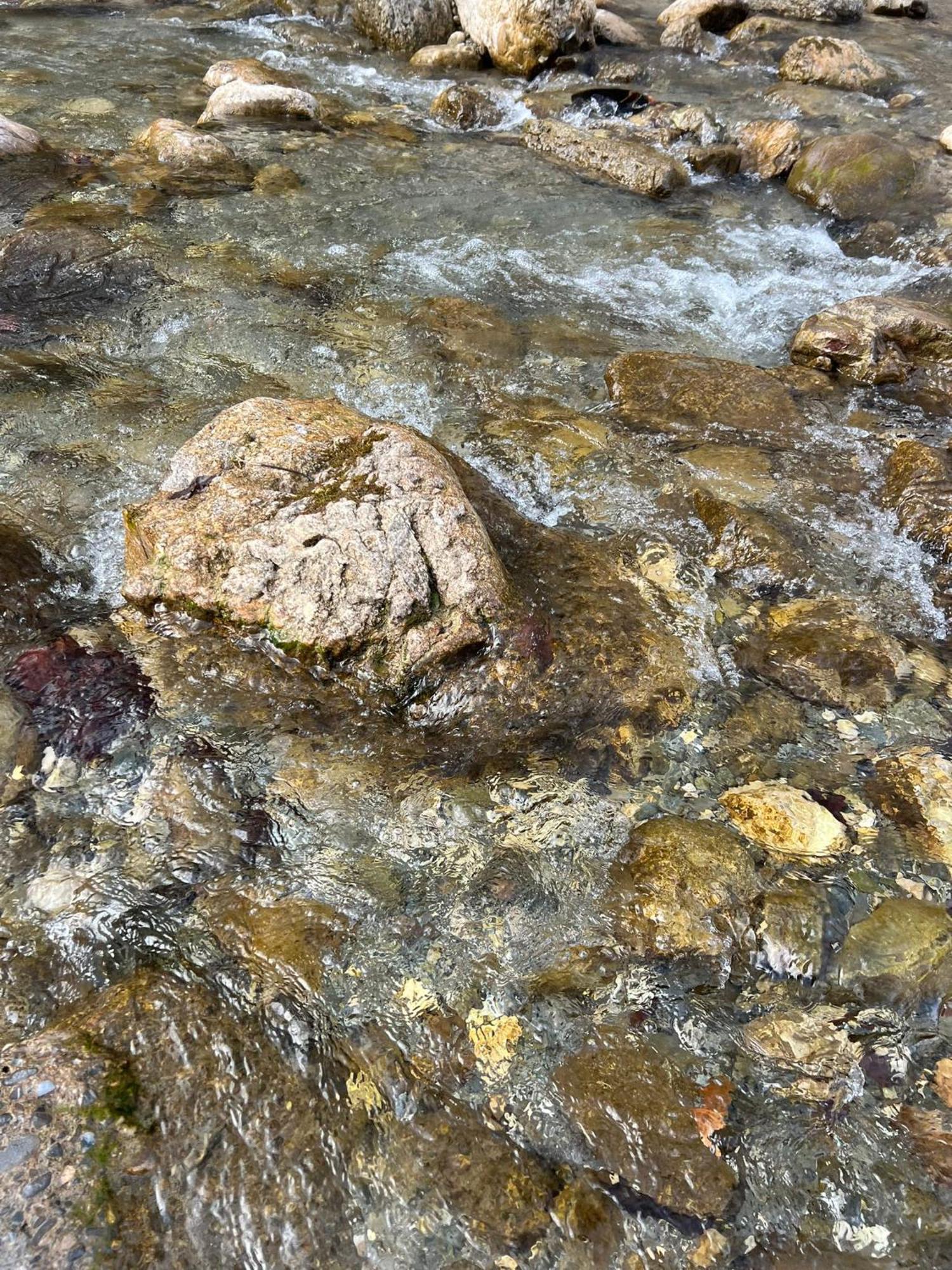 Gâlma 3* Moroeni