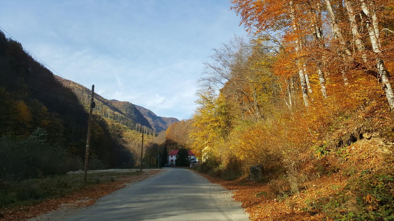 Gâlma Hotel 3*