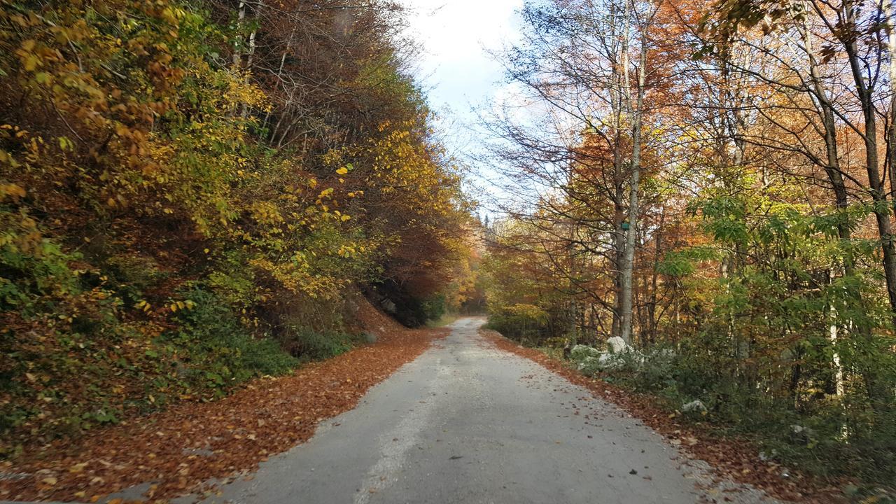 Gâlma 3*